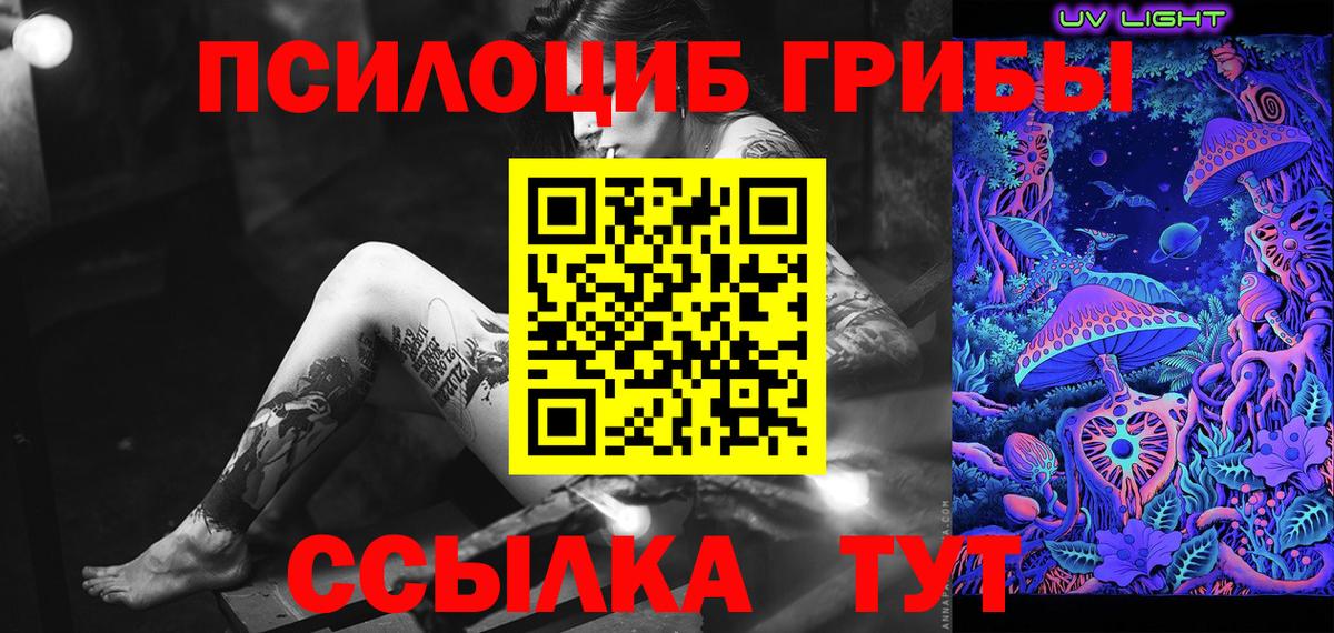 Псилоцибиновые грибы Psilocybine cubensis Дзержинский