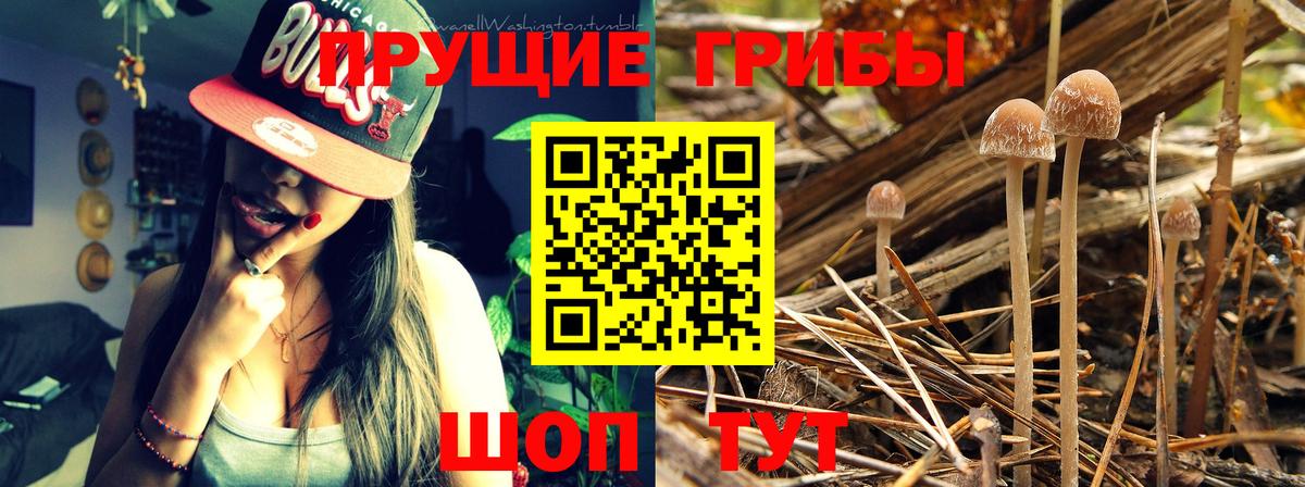 Галлюциногенные грибы Magic Shrooms  Вход с VPN  Дзержинский 